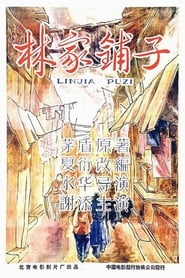 The Lin Family Shop постер
