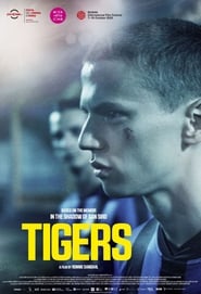 Tigers постер