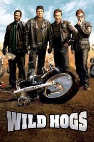 Poster van Wild Hogs