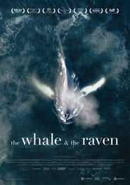 The Whale and the Raven постер