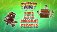 Jungle Pups: Pups Save the Meerkat Pirates