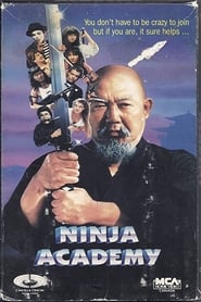 Ninja Academy постер