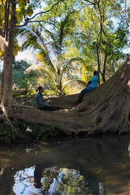 รื่นโรย