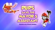 Pups Save the Mayor's Assistant