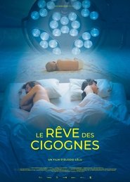 Poster Dream of Storks 2025