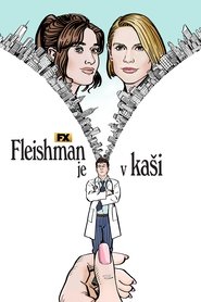 Fleishman je v kaši