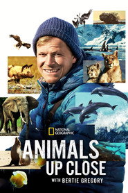 Animals Up Close with Bertie Gregory постер