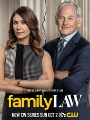 Family Law постер