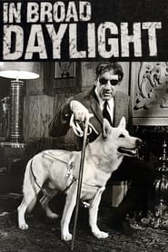 In Broad Daylight (1971)