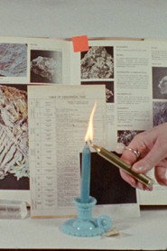 My Body Is a Lens I Can Look Through With My Mind