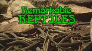 Remarkable Reptiles