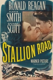 Stallion Road 1947 engelsk titel