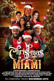 Christmas in Miami