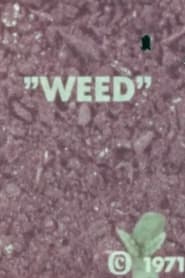 Poster WEED