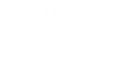 Born in Syria Logo
