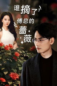 谁摘了傅总的蔷薇 (2024)