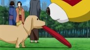 A Dog's Paws Smell Fragrant / Drive With a 
