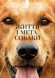 Життя і мета собаки постер