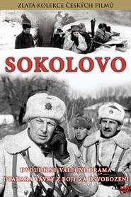 Poster Sokolovo
