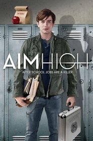 Poster Aim High 2013