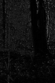 Poster for Phosphenes II
