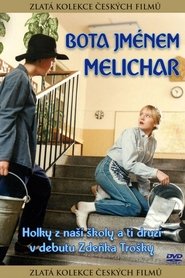 Poster del film Boot Called Melichar