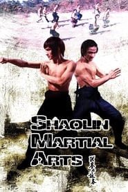 Shaolin Martial Arts ネタバレ