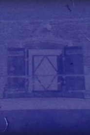 Diaphane, January 27, 2018, 8:08 a.m. / 12:34 p.m., Saint-Loup-de-Varennes, France