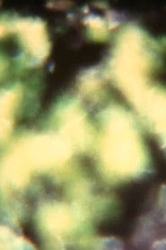 Poster A Boat Acrossing the Clouds 2014