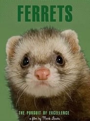 Poster Ferrets