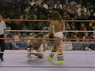 November 5, 1988 - Superstars of Wrestling 114