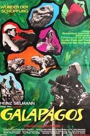 Poster Galapagos - Trauminsel im Pazifik