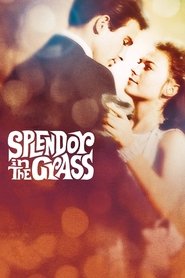 Poster van Splendor in the Grass