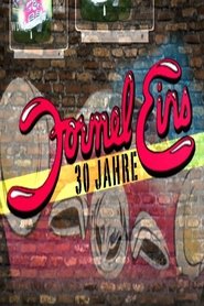 Poster 30 Jahre Formel Eins 2013