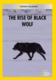Poster The Rise of Black Wolf