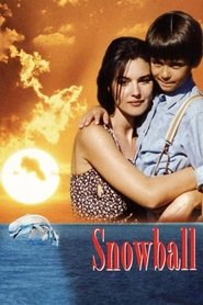 Poster Snowball 1995