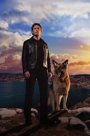 Hudson & Rex poster