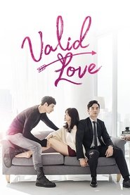 Poster Valid Love 2015