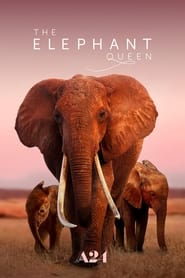Королева слонів постер