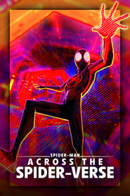 Людина-павук: Крізь Всесвіт постер