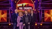 The Tribute - Battle of the Bands en streaming