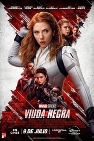 Viuda negra poster