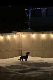 Footprints in the snow