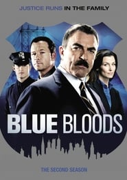 Blue Bloods Sezonul 2 Episodul 15 Online