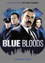 Blue Bloods Sezonul 2 Episodul 9 Online