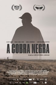 La Couleuvre noire (2025)