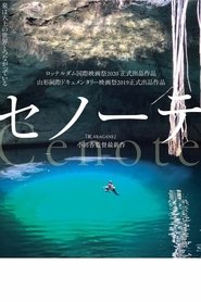 Cenote (2019)