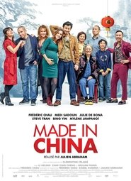 Made in China 2019