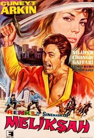 Poster Melikşah 1969