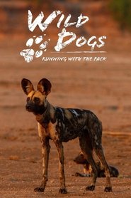 Wild Dogs: Running with the Pack Episode Rating Graph poster